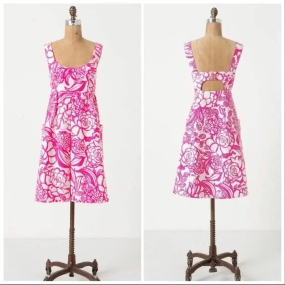Anthropologie Vanessa Virginia Garden Party Dress
